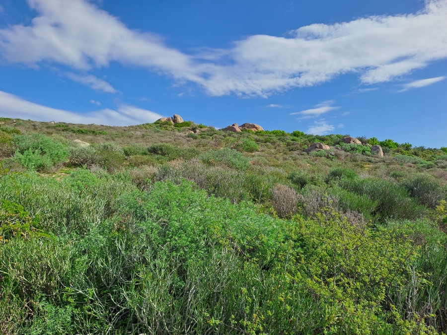 0 Bedroom Property for Sale in Britannica Heights Western Cape